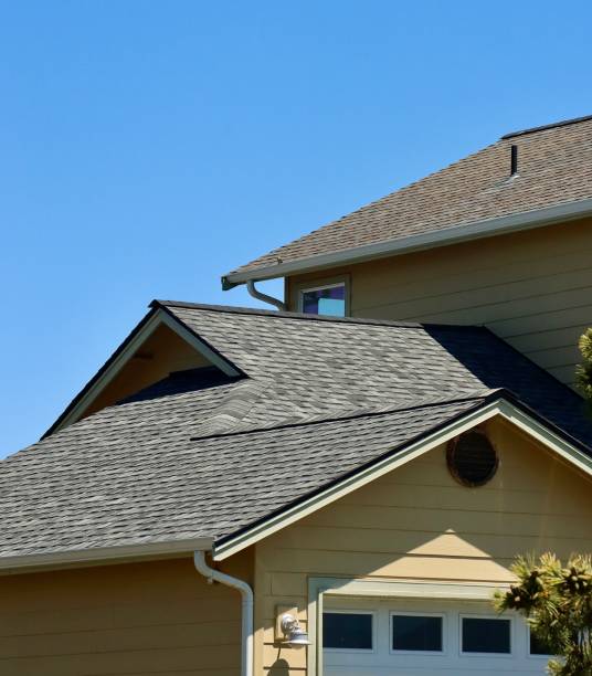 Best Green or Eco-Friendly Roofing Solutions  in Brookings, SD